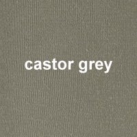 farbe_castor-grey_cette_241.jpg