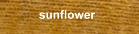 farbe_sunflower_cette_262.jpg